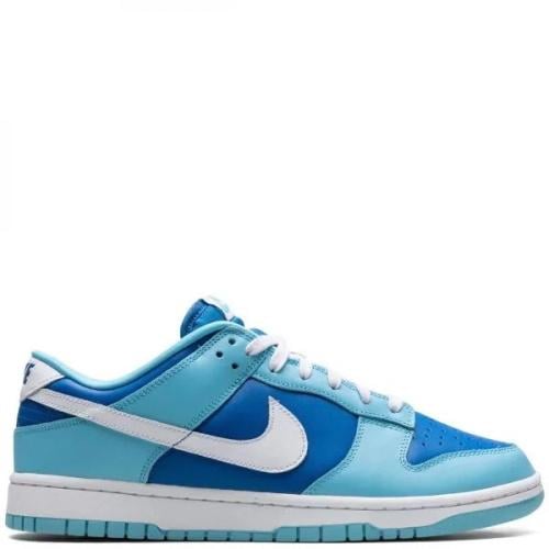 Nike Dunk Low Retro sneakers "Argon"