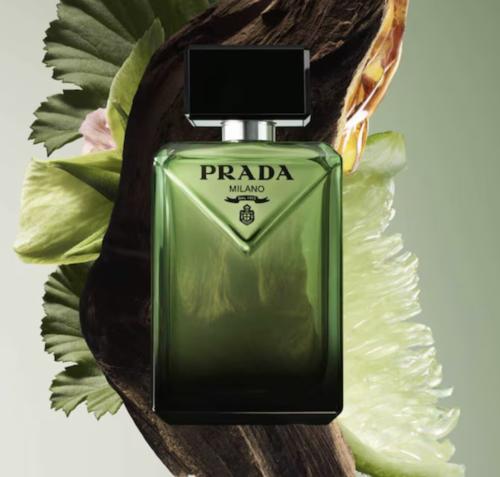 برادايم برادا 100مل