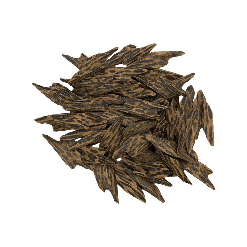 Cambodian oud Tiger first grade