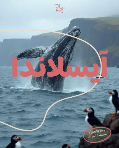 رحلة الكرفان في ايسلاند