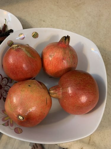 عقل رمان التايلندي القرمزي