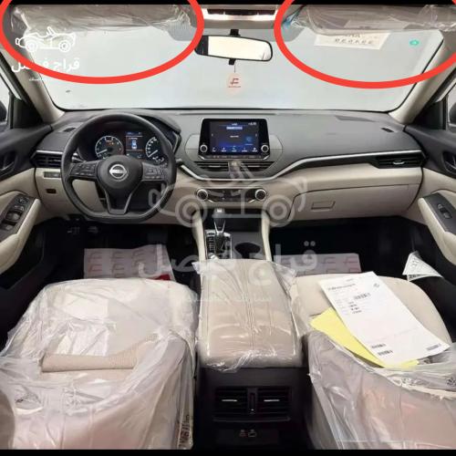 شماسيات حبتين أصلية التيما