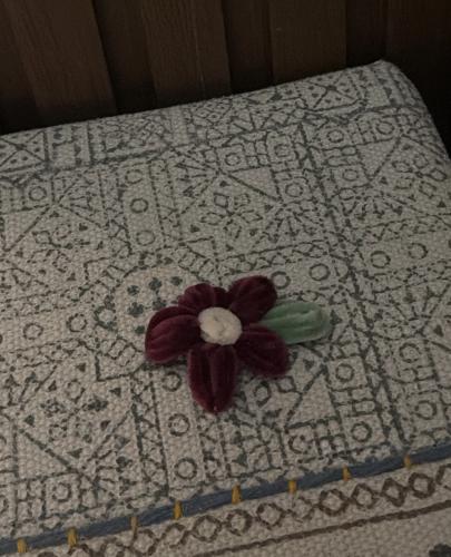 شباصة - برغندي