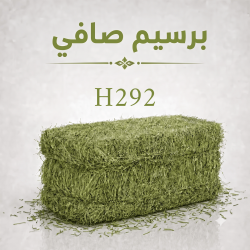 برسيم صافي - H292
