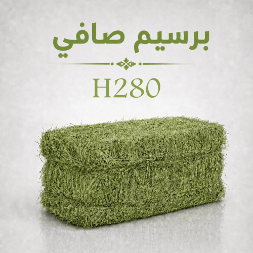 برسيم صافي - H280