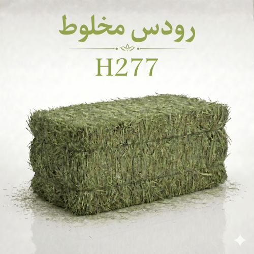 رودس مخلوط - H277