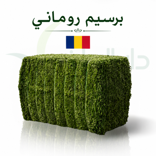 برسيم روماني
