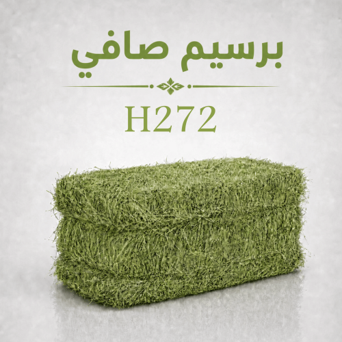 برسيم صافي - H272