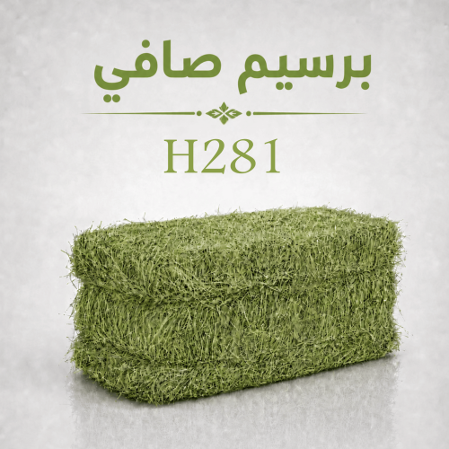برسيم صافي - H281