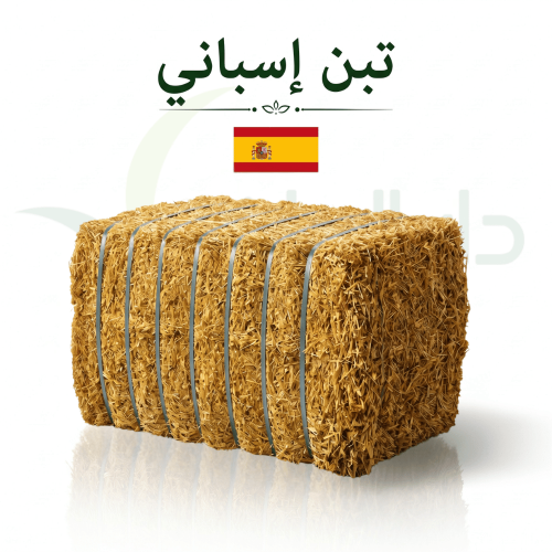 تبن اسباني