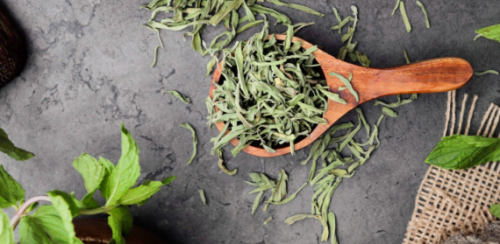 نعناع مغربى حائل(عضوى)
