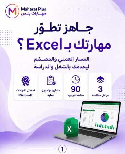 Excel Professional Track
