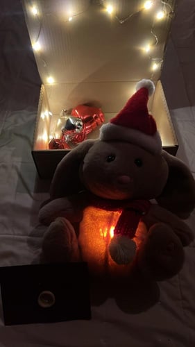 دبدوب يتنفس شتوي