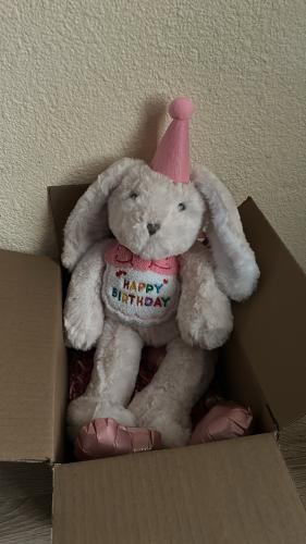 دبدوب ميلاد ( ارنب - بلالين - كرت)