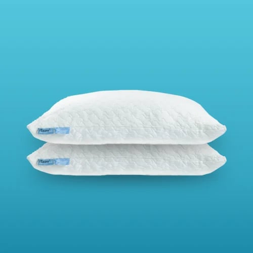 Flairs pillow 2x