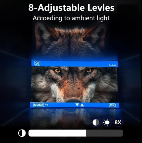 دربيل ليلي عين الذيب 4K