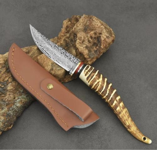 قرن الغزال دمشقي