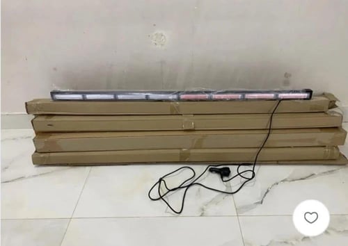 سيفتي مسطره