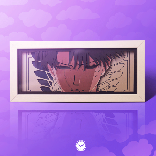 لايت بوكس ليفاي