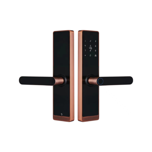 قفل باب ذكي SL27 نحاسي اسود
