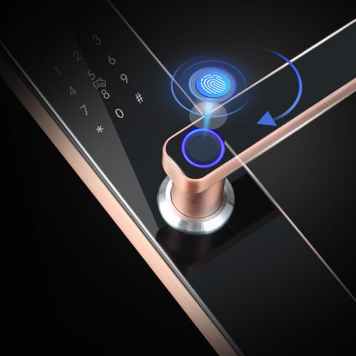 القفل الذكي SL17 نحاسي اسود