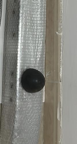 جلد صدام جيب حبتين