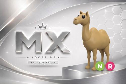 جمل _RN Camel