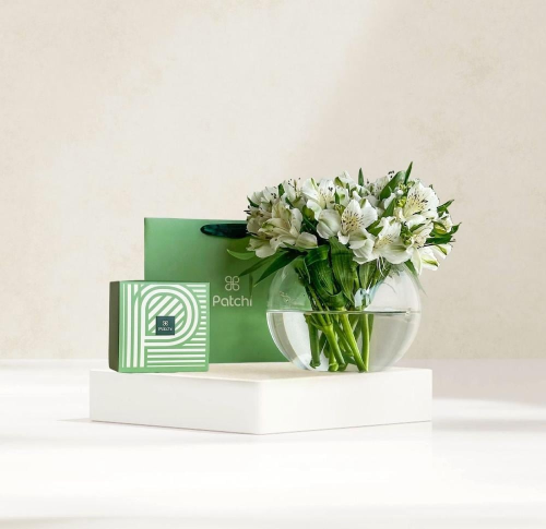 فازة ألستروميريا مع باتشي