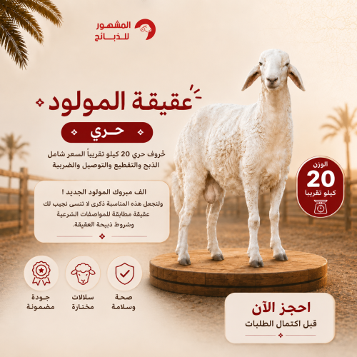 عقيقة حري الوزن 20 كيلو تقريباً