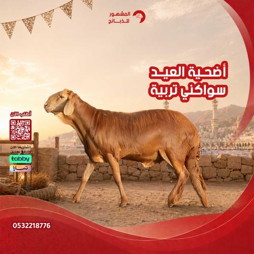 أضحية سواكني تربية 24 كيلو تقريباً (بعد الذبح ) مك...