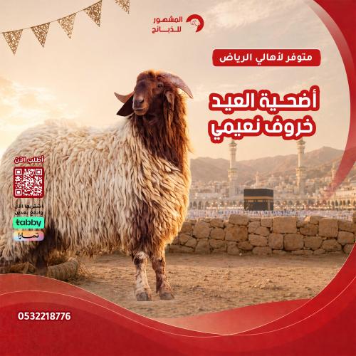 أضحية خروف نعيمي جبر جذع 28 إلى 30 كيلو تقريباً (ب...