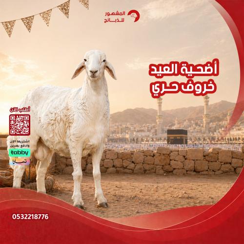 أضحية خروف حري 20 كيلو تقريباً (بعد الذبح ) مكمل ل...