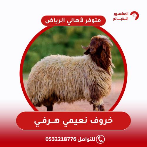 خروف نعيمي هرفي