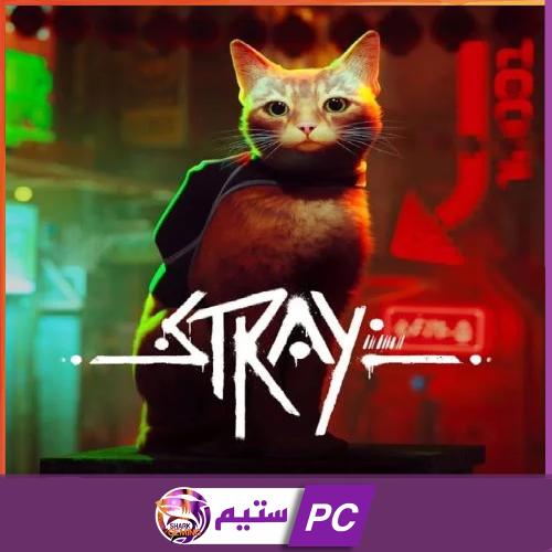 ستراي | Stray