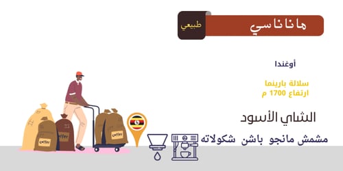 بوكس الفلتر