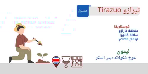 بوكس مشروبات الحليب