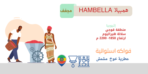 بوكس الأثيوبيات