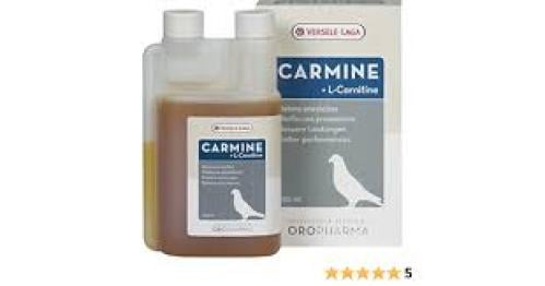 CARMINE MEGA FORTE كارمين ميجا فورت