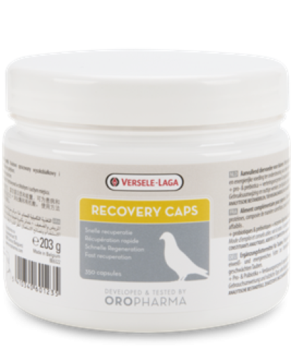 recovery caps كبسولة الانتعاش