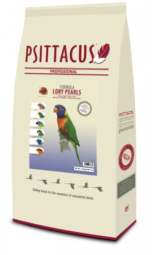 لوري بيرلز من سيتاكوس (تعبئة)– غذاء كامل للببغاوات...