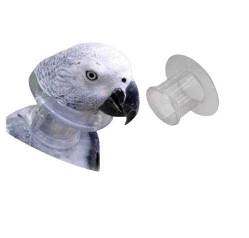 طوق منع نتف الريش للطيور والببغاوات – طوق استشفاء...