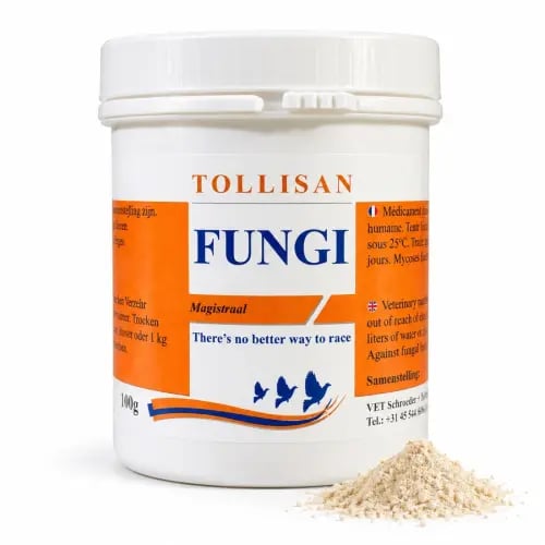 Tollisan Fungi توليسان فونجي 100 جم – مضاد فطري لل...