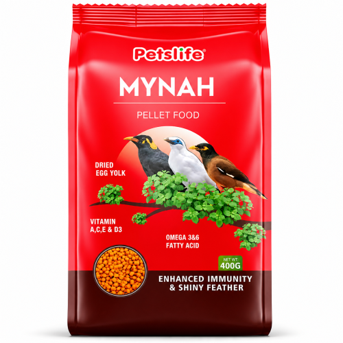 طعام طيور المينا والبلابل Petslife Mynah | تغذية م...