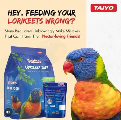 لوري نكتار بيتس لايف