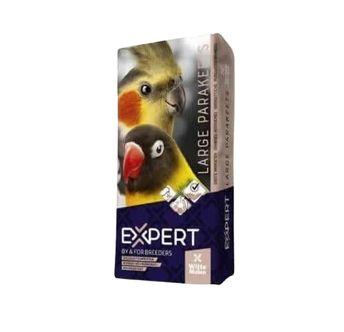 اكل روز وايت مولن اكسبرت غذاء مشكل بالفيتامين للبر...