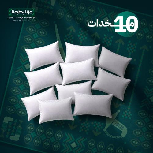 10 مخدات - 1000 جرام