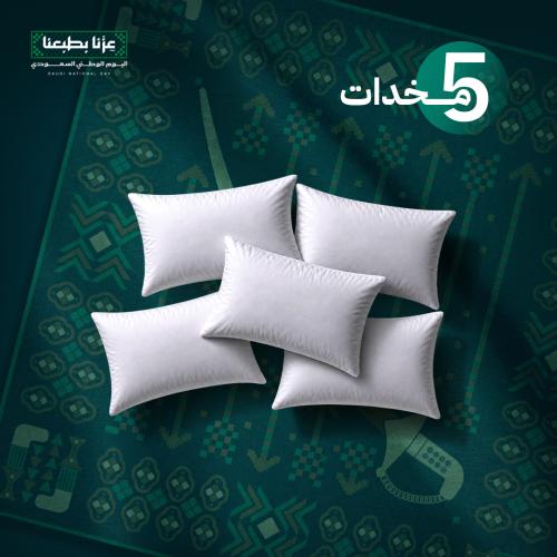 5 مخدات - 1000 جرام