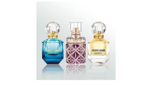 روبرتو كافالي مجموعة كافالي