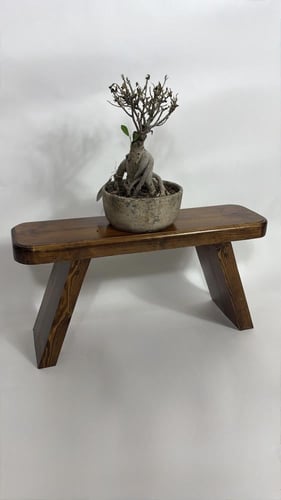 تحفة رياش #16