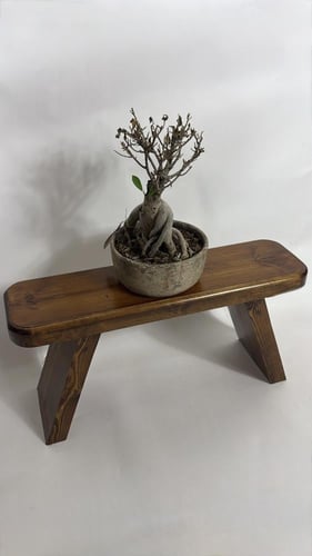 تحفة رياش #16